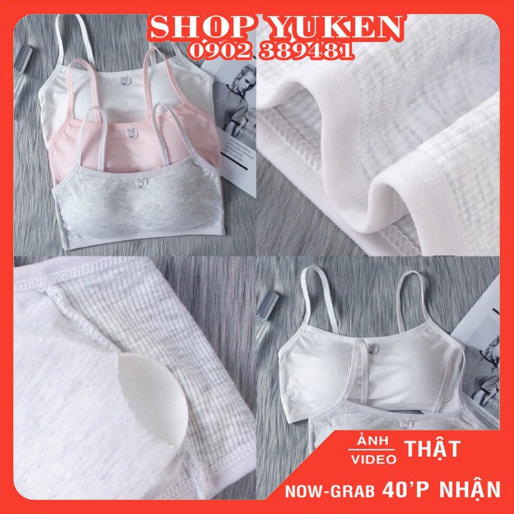 ♥️ Shop Uy Tín ♥️ A6020. Áo lót cho học sinh sinh viên cotton mát bralette