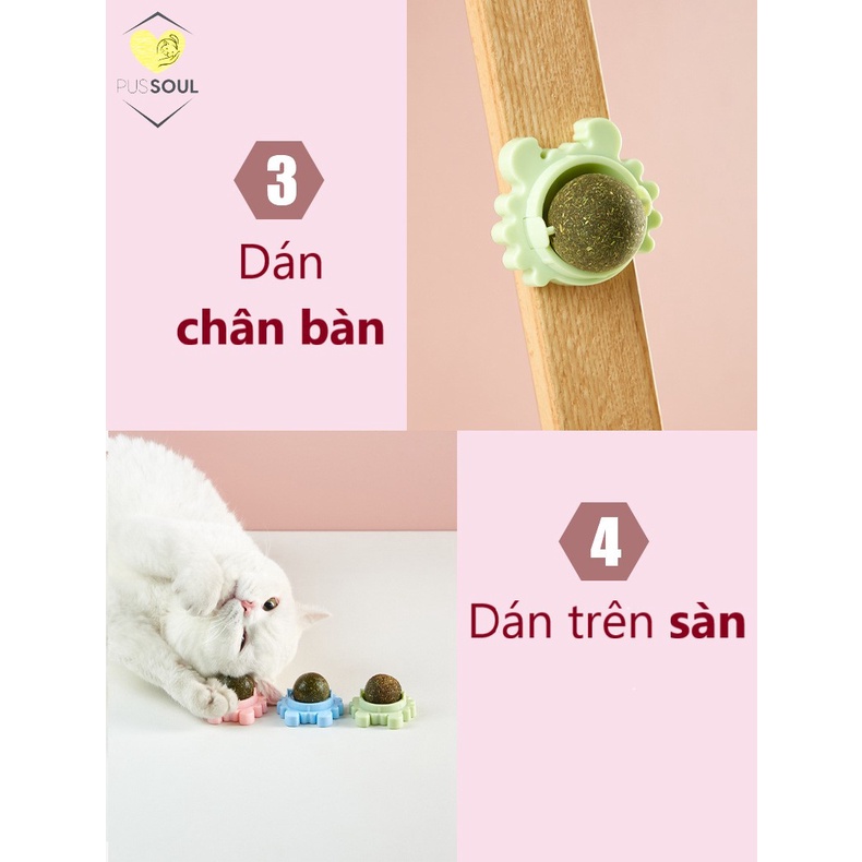 - Cỏ mèo dán tường  - Giảm STRESS, trị búi lông dạ dày mèo - Hình Cua nhỏ, Trái bơ