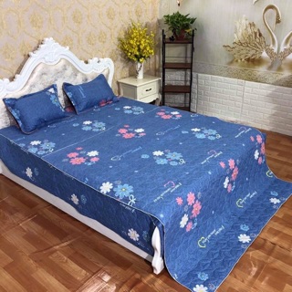Sét chăn ga gối trần bông
