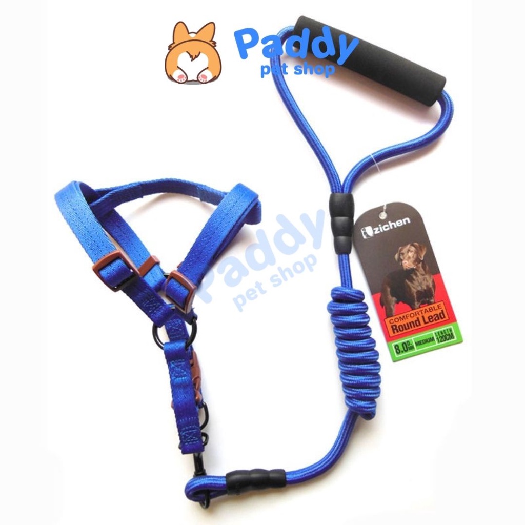 Set Dây Dắt Zichen Cho Chó Mèo
