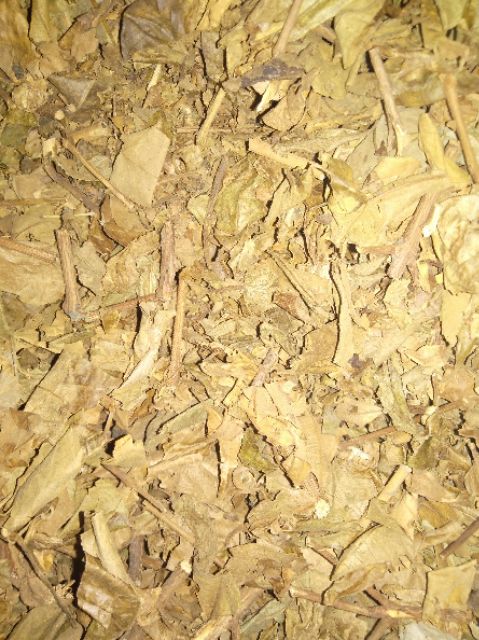 Cây Lá đỏ ngọn, cây đỏ ngọn, trà uống