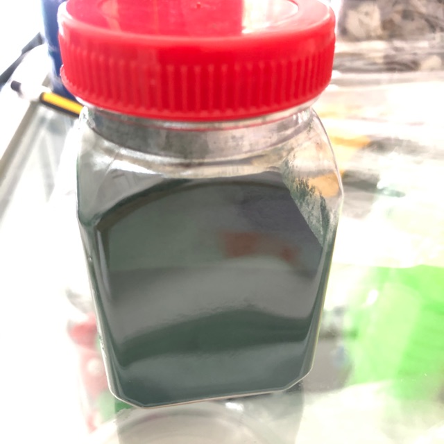 Tảo bột hủ