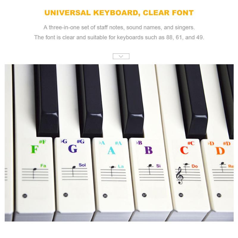 【COD】Sticker Dán Phím Đàn Dành Cho Đàn Piano 49/76/61/88 Phím Nhiều Màu Sắc Có Thể Gỡ Ra Được