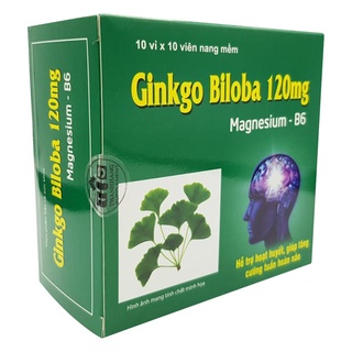 Hoạt huyết dưỡng não ginko Biloba 120mg tăng cường tuần hoàn não, Viên uống bổ não- Hộp 100 viên