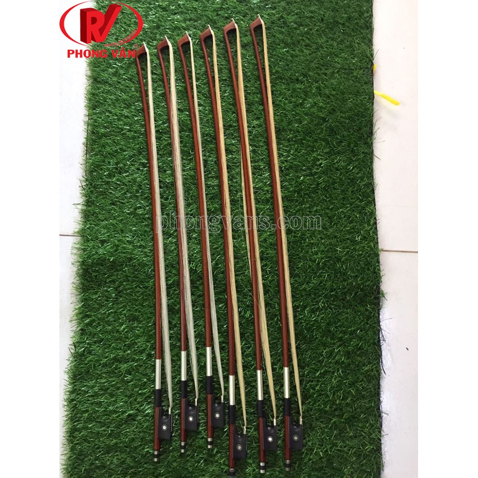 Acse vĩ cầm đàn violin