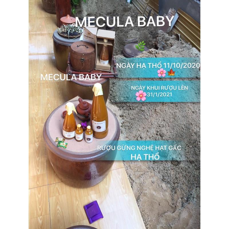 Ghế xông vùng kín Mecula Baby kèm thảo dược.