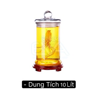 Bình Ngâm Thủy Tinh 10 Lít Dáng Trụ Thân Trơn – TT10L