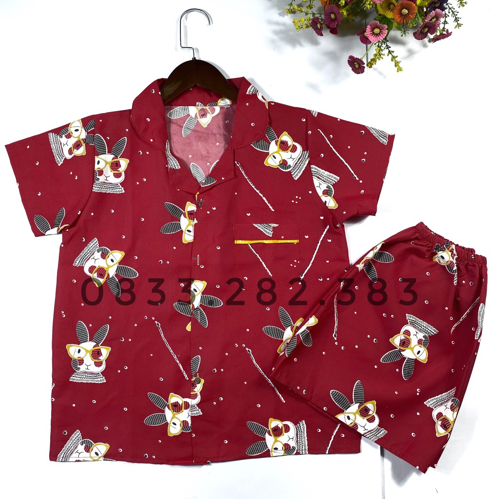 Set đồ bộ ngủ nữ pijama quần đùi mùa hè mặc nhà cute, Chất kate thái mặc mát không phai màu Fresz<65kg Thời trang nữ BeA | BigBuy360 - bigbuy360.vn