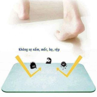 THẢM NHẬT BẢN THẤM HÚT