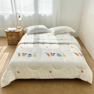 Ruột Chăn Kháng Khuẩn Cao Cấp IKEA