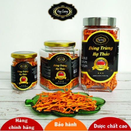 HŨ 50GR Nấm Đông Trùng Hạ Thảo Huy Cương Sấy Thăng Hoa Hàng Cao Cấp