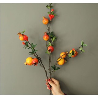 Cành lựu giả quả trung bình - Cây lựu