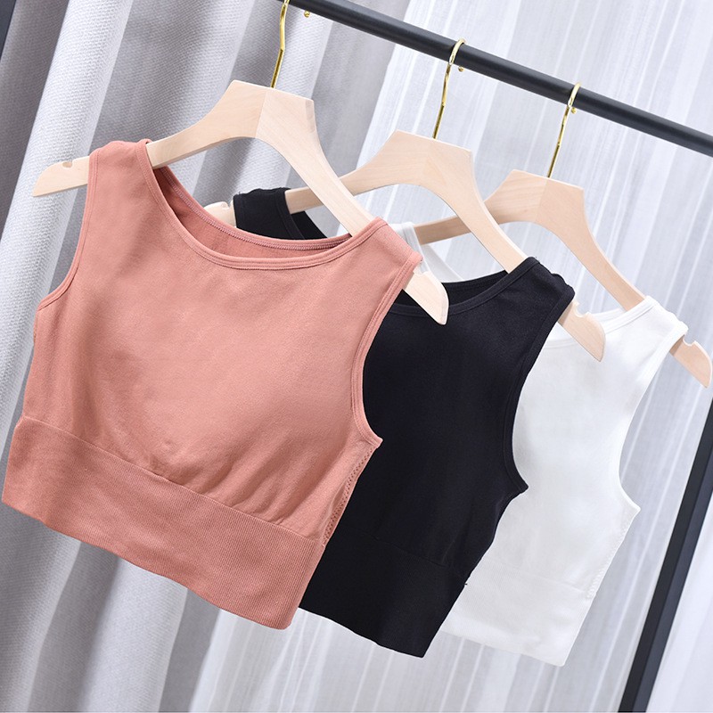 Áo bra thun cotton trơn 3 màu tập Gym, Yoga, Kèm Đệm Ngực