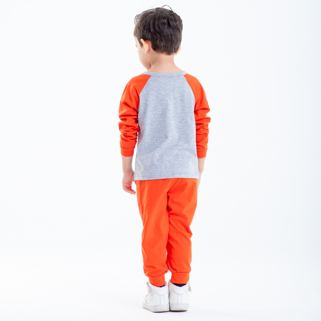 Đồ Bộ Bé Trai Dài Tay Chất Cotton In Hình Hổ Ngộ Nghĩnh Thời Trang Cao Cấp Beddep Kid Clothes BB17