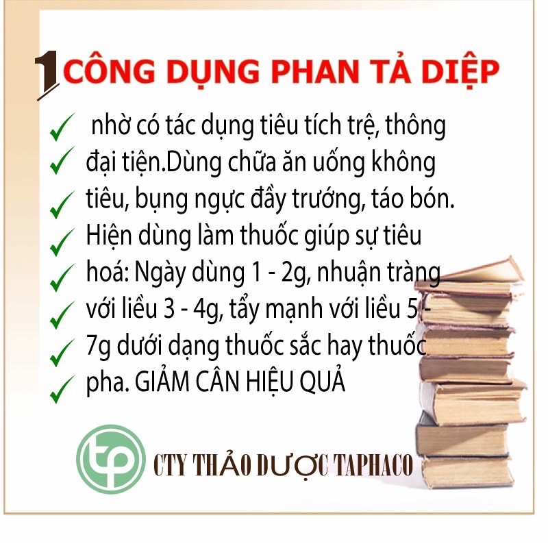 Phan Tả diệp sấy khô túi 1kg xanh khô mới