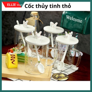 Cốc thủy tinh uống nước, trà, cafe cốc thủy tinh trong suốt 450ml