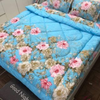 Set bộ chăn phao ấm
