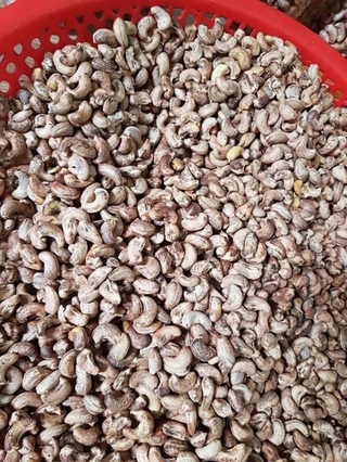 Điều Bình Phước
