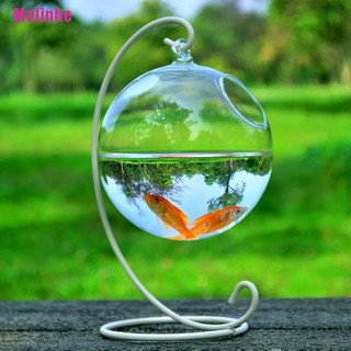 Bình Hoa Thủy Tinh Treo Tường Trang Trí Nhà Cửa DIY