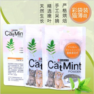 Cỏ Catnip Cỏ Bạc Hà Giúp Mèo Cưng Thư Giãn Hưng Phấn Bay Bổng