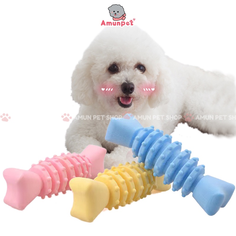 Đồ Chơi Nhai Gặm Cho Chó Mèo Cao Cấp Chất Liệu TPR Mẫu Đồ Chơi Cho Thú Cưng Làm Sạch Răng Giảm Cắn Và Stress Amun Pet
