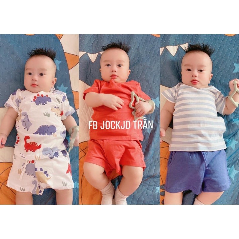 Set 3 bộ khủng long siêu hot đủ size
