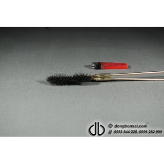 Bàn chải cán sắt sợi kẽm vệ sinh lũa