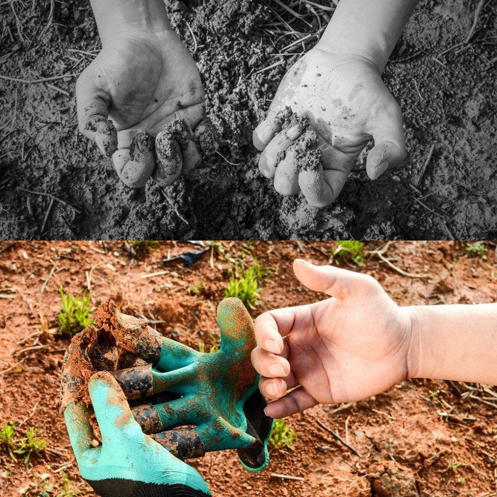 Cặp găng tay làm vườn chuyên dụng có móng vuốt 3a thay dụng cụ đào đất thoàng khí dọn dẹp đất trồng cây Chammart