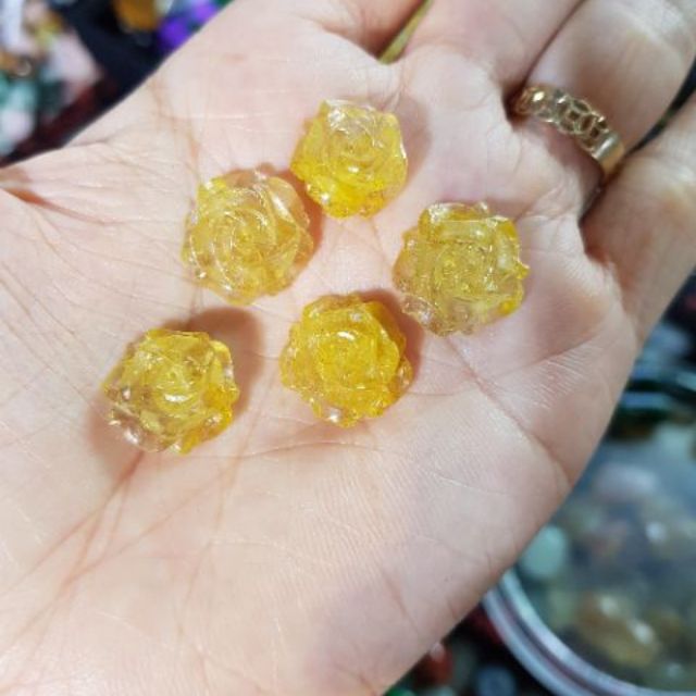 Hoa mẫu đơn tóc vàng