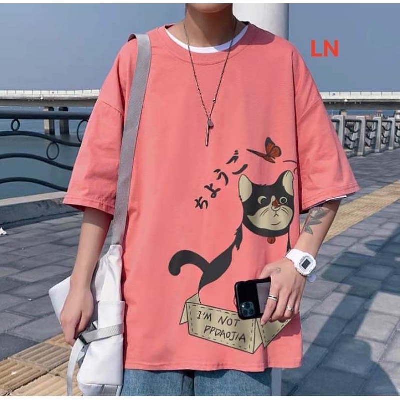 Áo phông mèo bướm chữ tàu DA6
