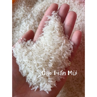 Gạo ST21 Dẻo Thơm ,Mềm Ngọt Cơm (Bao 10KÝ)