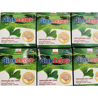 GinkCeton – Giúp tăng cường tuần hoàn não – Ginko Biloba 120mg – Vitamins – Citicolin – Nattokinase – Magnesium Lactate