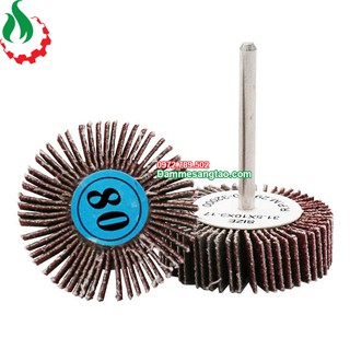 DMST Nhám xếp trụ