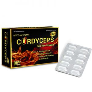 Bổ Thận Cordyceps