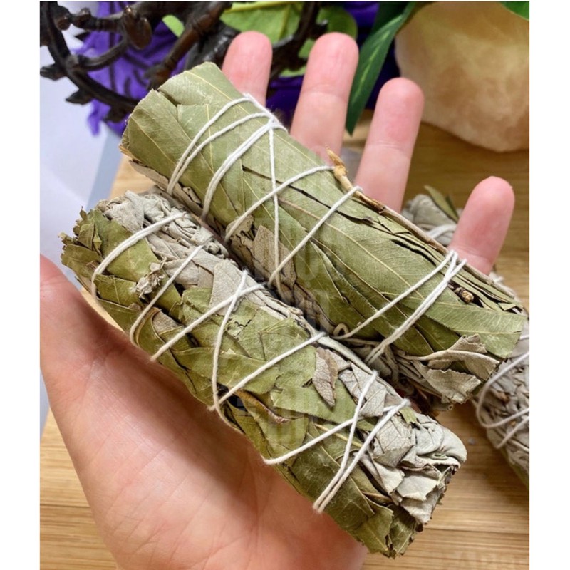 XÔ CÂN BẰNG chữa lành cảm xúc, tăng cường sự tập trung, nạp năng lượng ( White sage mix Bạch Đàn ) - THẢO MỘC XÔNG NHÀ