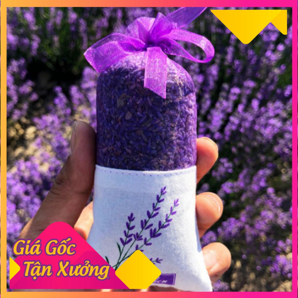 [RẺ VÔ ĐỊCH] Túi Thơm Hoa Oải Hương Lavender -Shop Uy tín