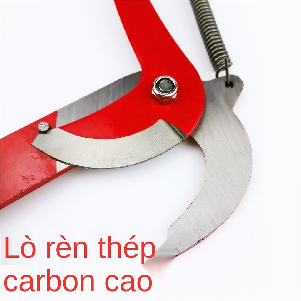 Kéo tỉa cành bằng dây, cắt trên cao, hái trái cây, cành, cao