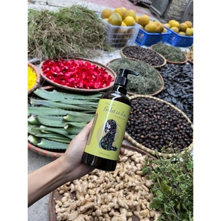 dầu gội bồ kết cô đặc