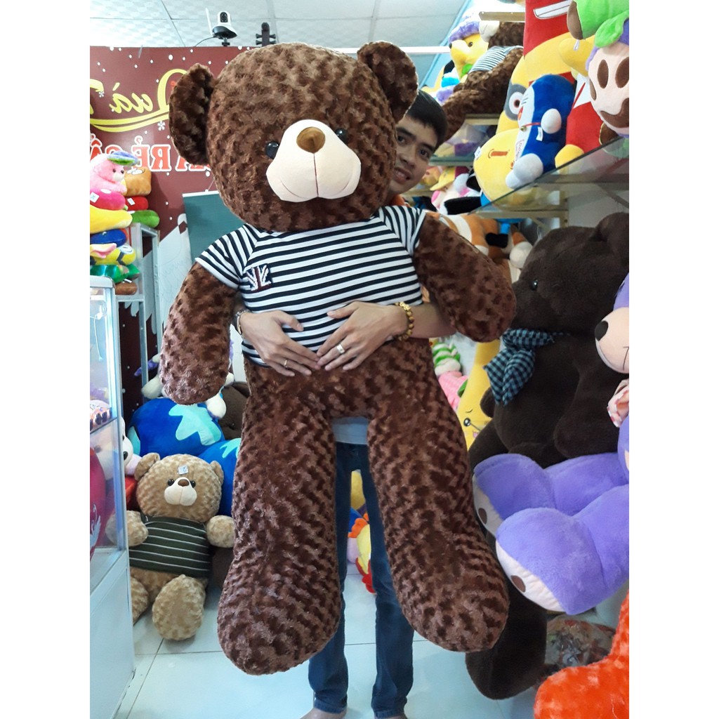 Gấu bông Teddy Cao Cấp khổ vải 1m4 Cao 1,2 màu Nâu hàng Lông Siêu Mềm Mịn