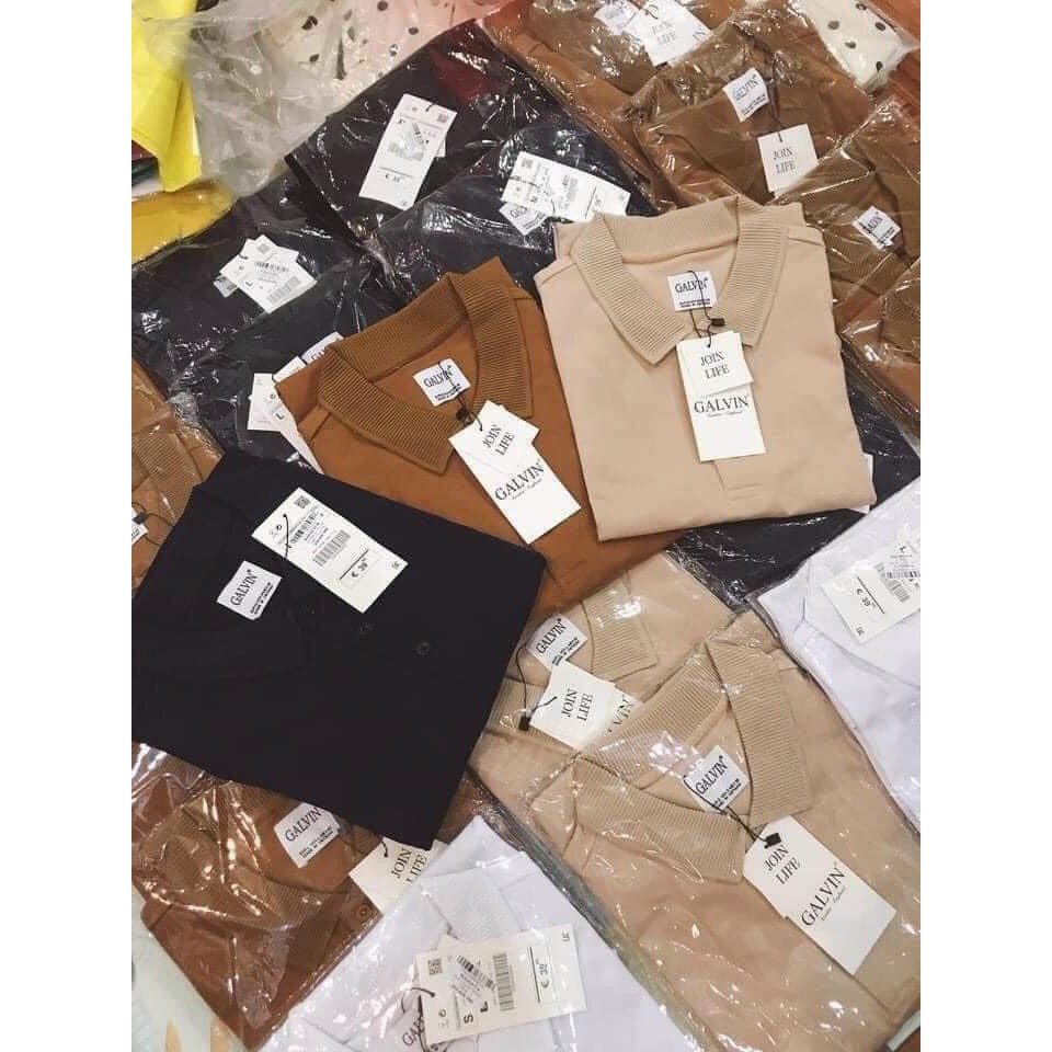 Áo polo nam Galvin cổ dệt bo len,áo thun nam có cổ chất vải cotton cá xấu sang trọng lịch lãm P03 | BigBuy360 - bigbuy360.vn