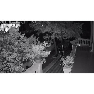 Camera IP Yoosee Wifi 3 Anten HD720