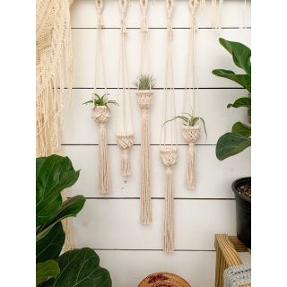 Set 5 giỏ treo cây không khí giỏ treo tường giỏ trang trí