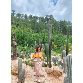 Link sản phẩm giá 400k ( Khách ib trước )