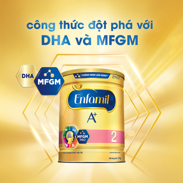 Sữa bột Enfamil A + 2 400g