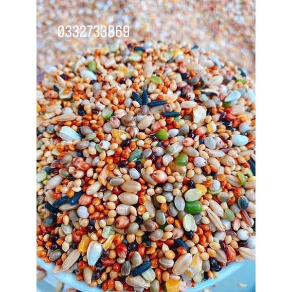 Ngũ Cốc 20 loại hạt đặt biệt cho Chim Cu Gáy