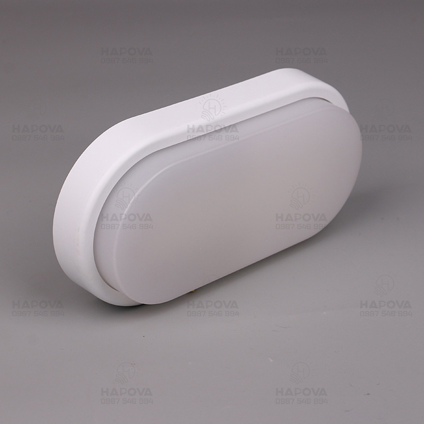 Đèn ốp gắn tường vệ sinh công suất 20W ATAMOGA DGT 2500