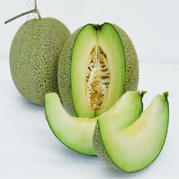 Hạt giống dưa lưới ruột xanh F1 gói 20 hạt