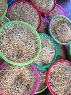 Combo mầm đậu nành