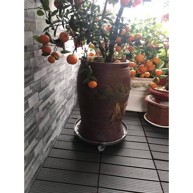 Đế inox lót chậu cây có bánh xe - Giảm 30% ngay hôm nay