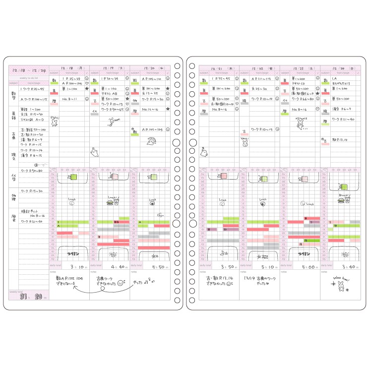 Set 30 Giấy Refill Binder Campus Study Planner Học Tập B5 Cây Đầu To